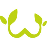 Why Having Too Many Mentors Can Stunt Your Growth